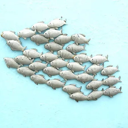 Ein Bett Im Norden *